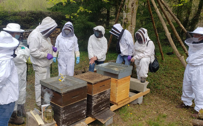 Formations Apifensch, un suivi personnalisé pour les nouveaux apiculteurs